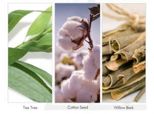 Screen Shot 2017 11 13 at 09.33.53