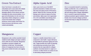 Screen Shot 2022 11 08 at 16.44.21